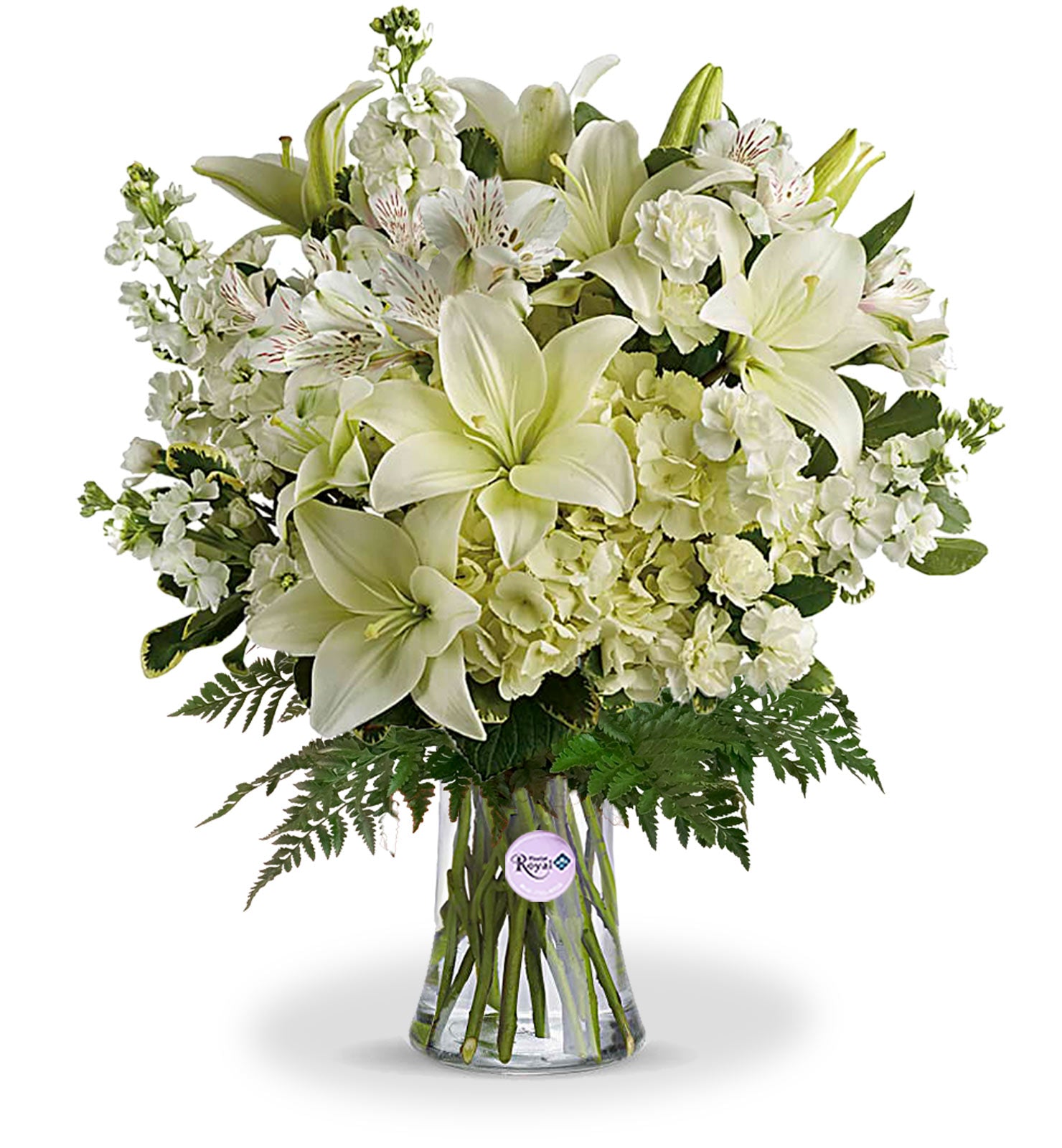 Innocent Love Arrangement